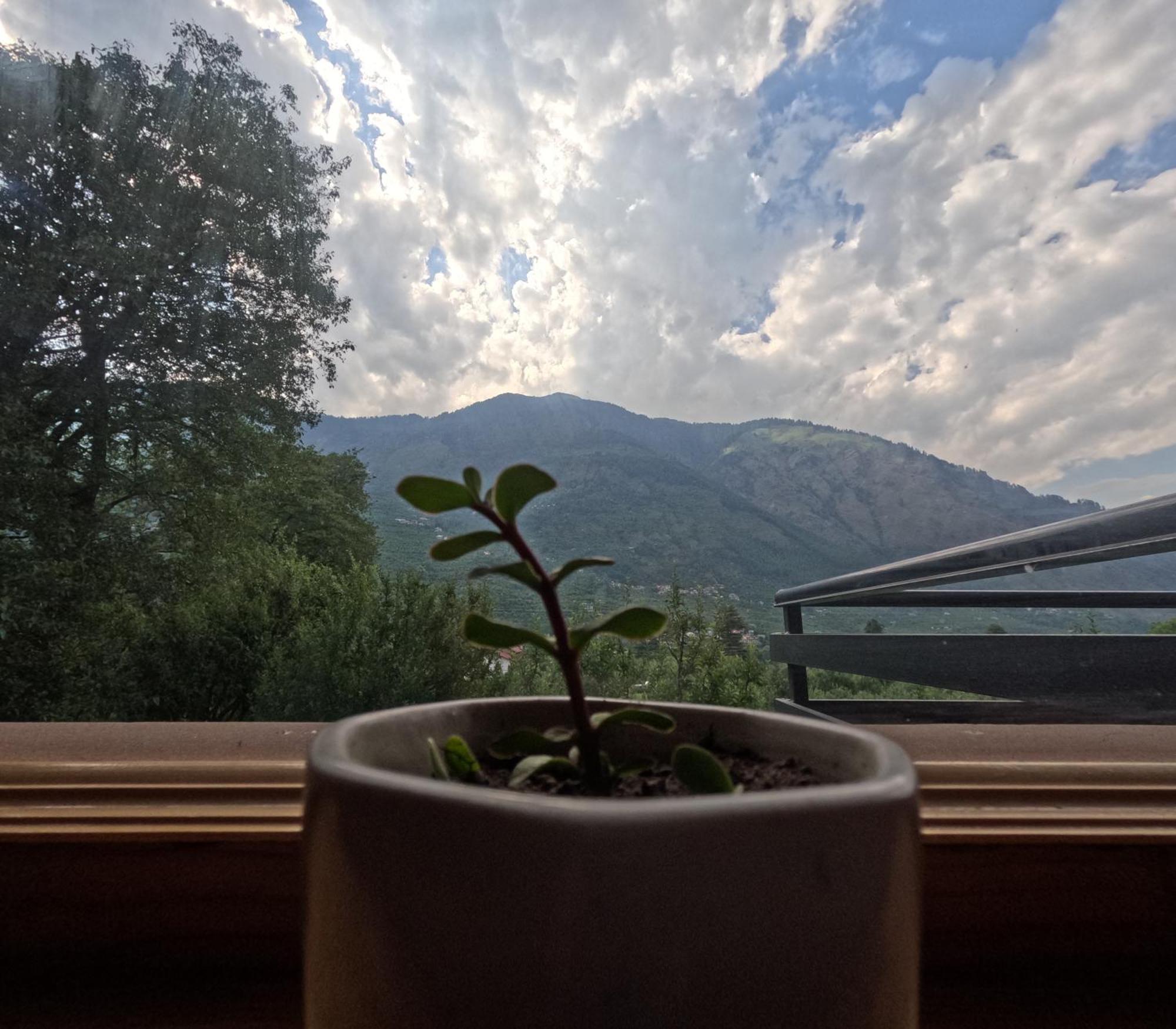 Saanjh - A Serene Retreat Manāli Eksteriør billede